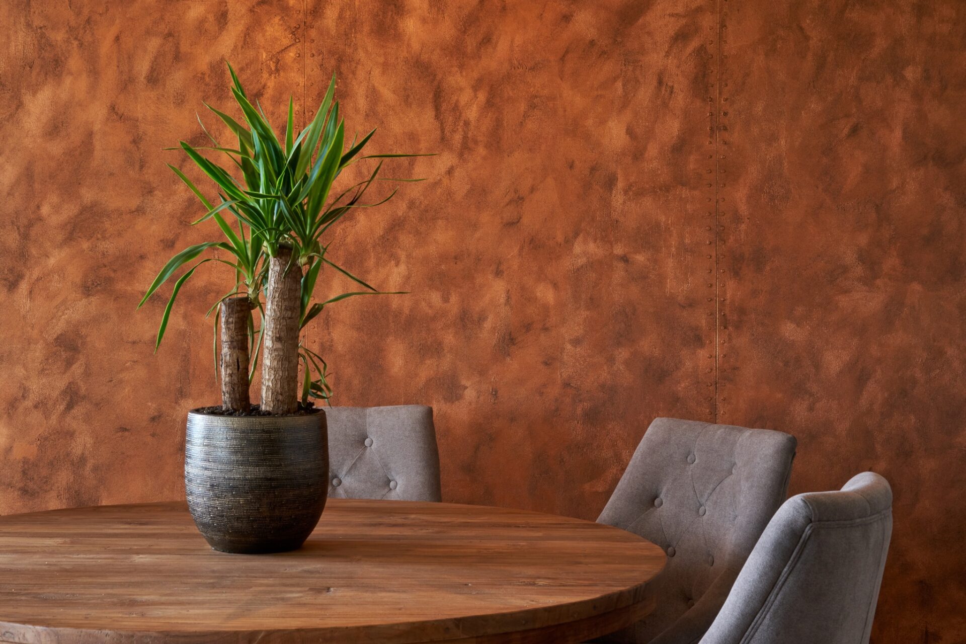 groesbeek rivedil rust paint oxyda on paquebot 3